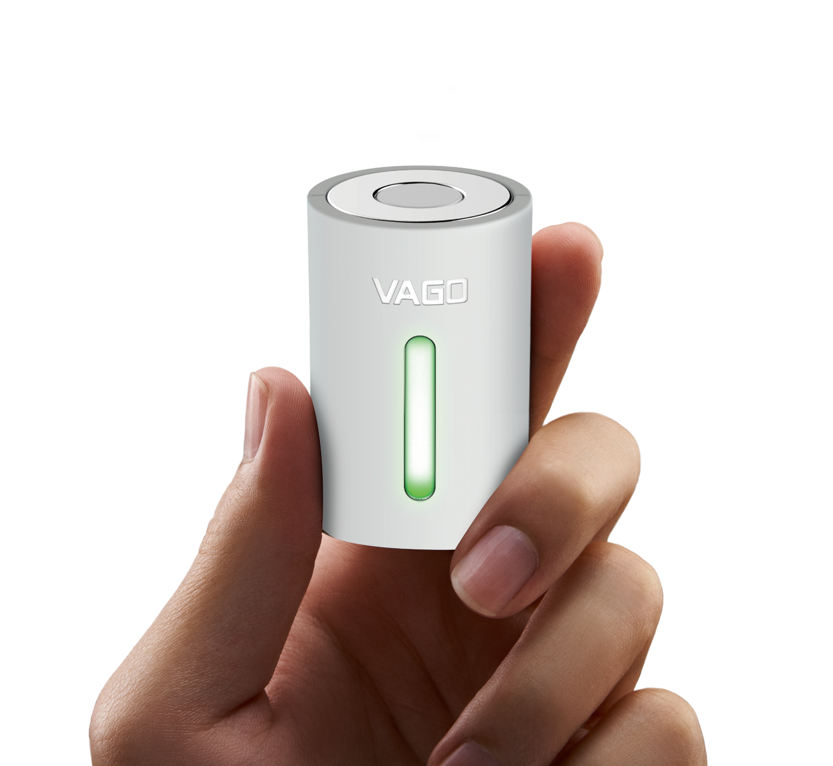 VAGOを手に持った様子